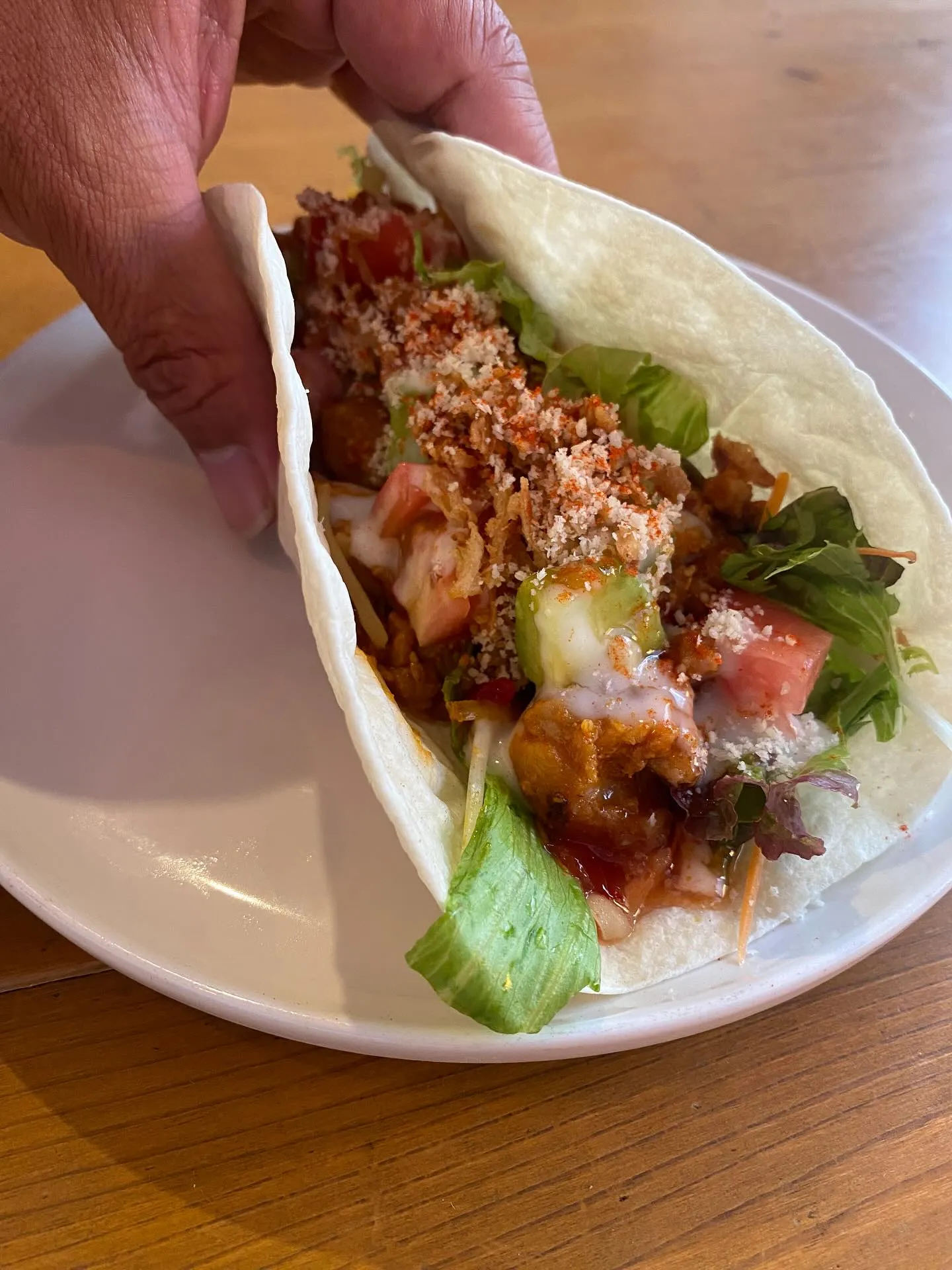 🌮✨新メニュー登場✨🌮